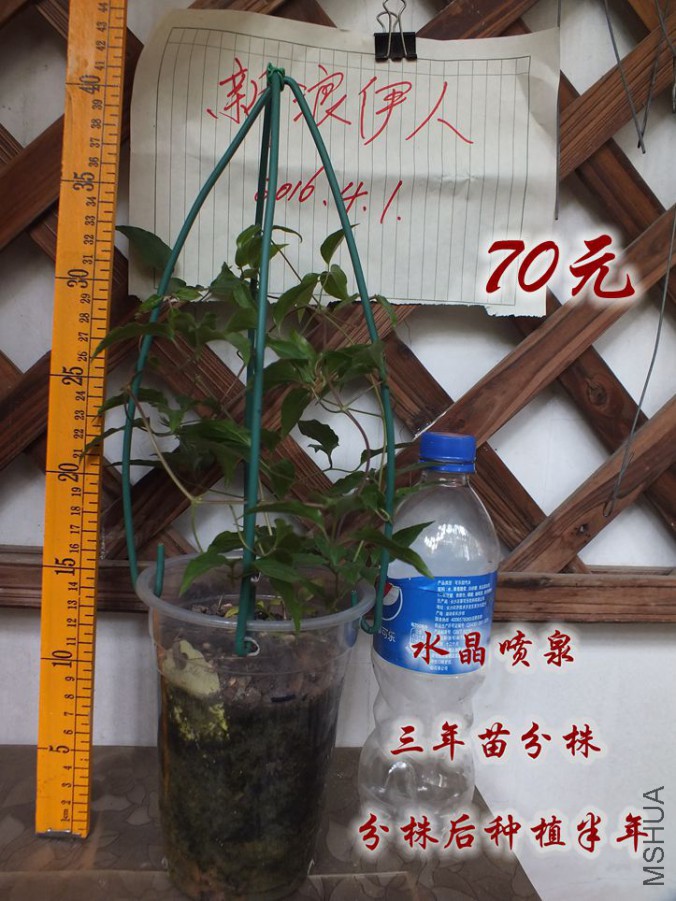 2016.4.1 002_����.jpg