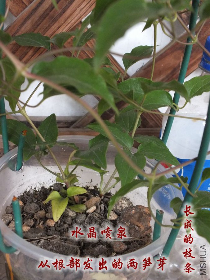 2016.4.1 003_����.jpg