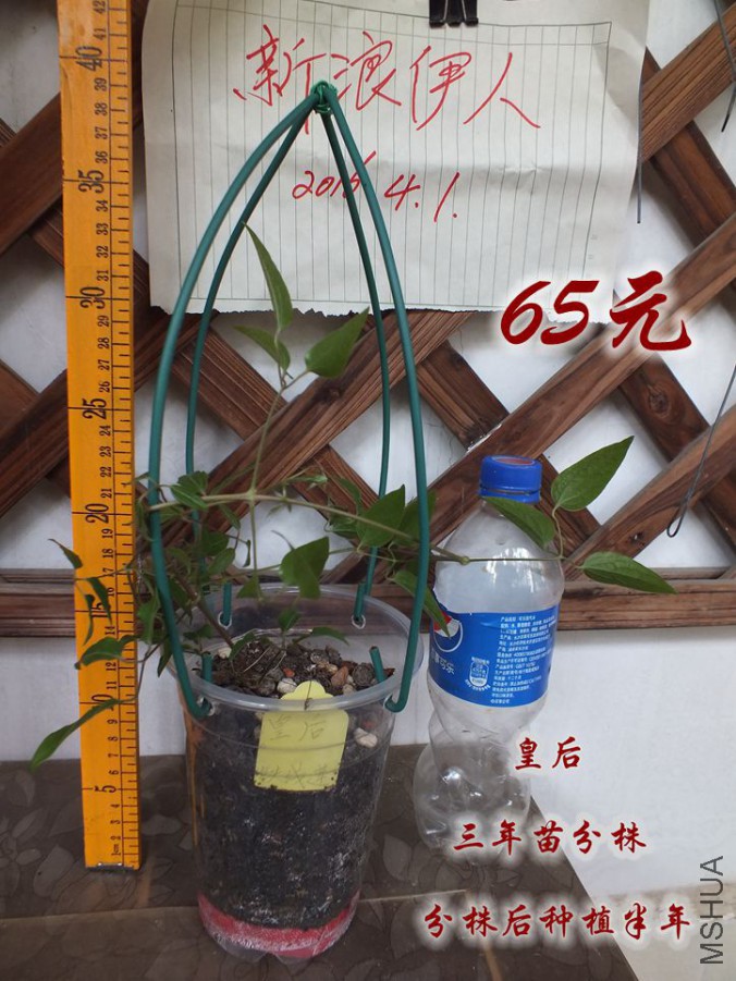 2016.4.1 004_����.jpg