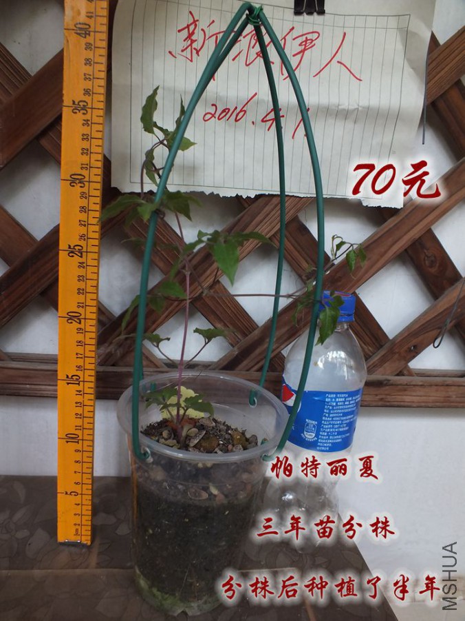 2016.4.1 006_����.jpg