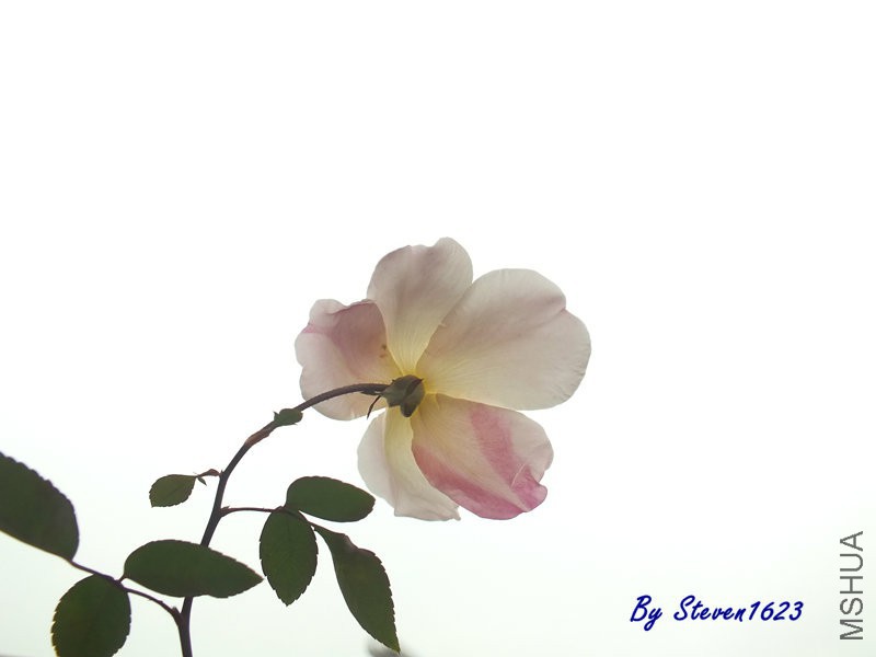 DSCF9617.JPG