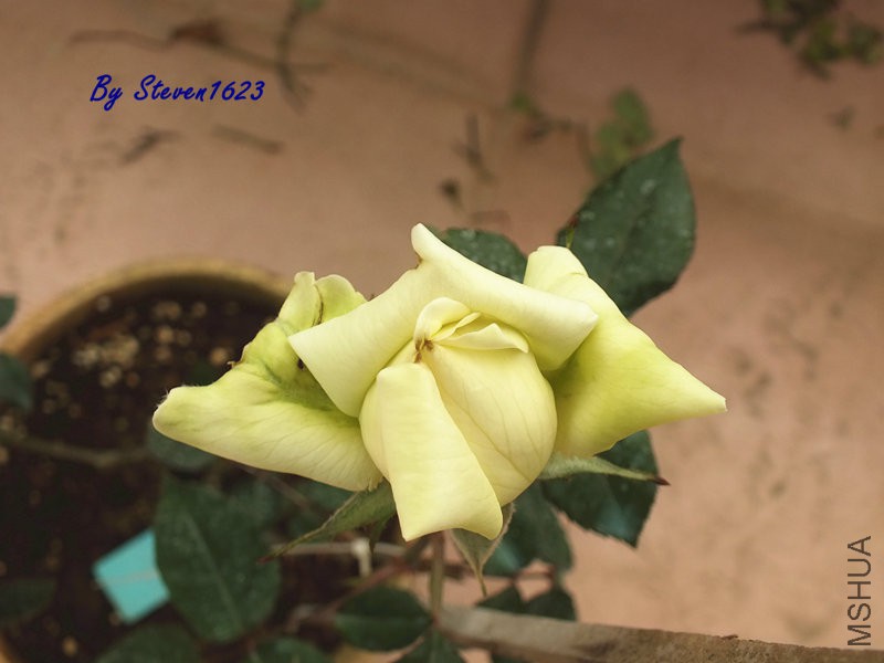 DSCF9572.JPG