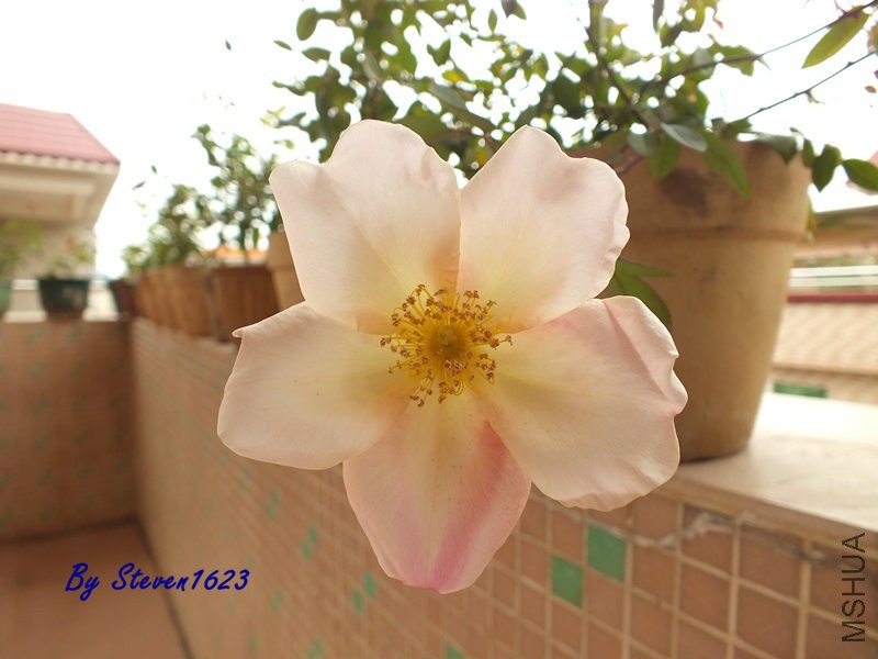 DSCF9593.JPG