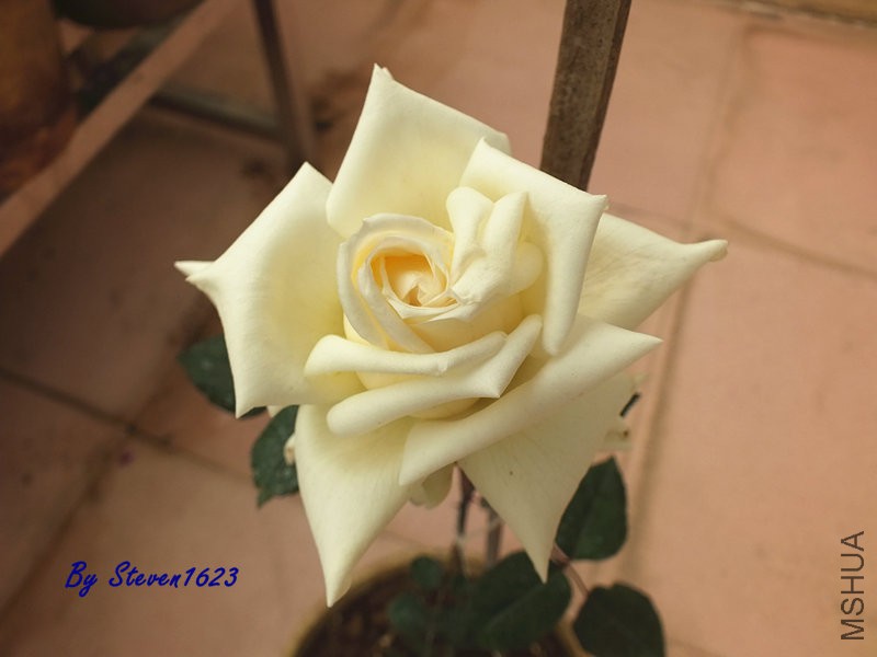 DSCF9602.JPG