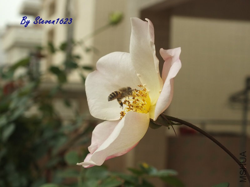 DSCF9629.JPG