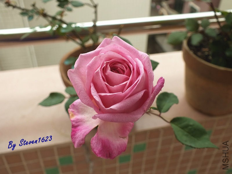 DSCF9704.JPG