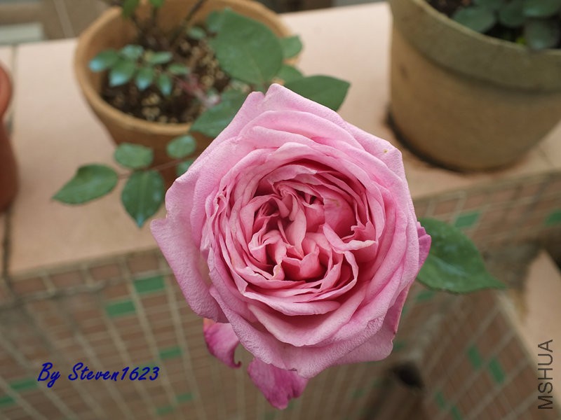 DSCF9726.JPG