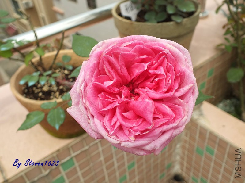 DSCF9734.JPG