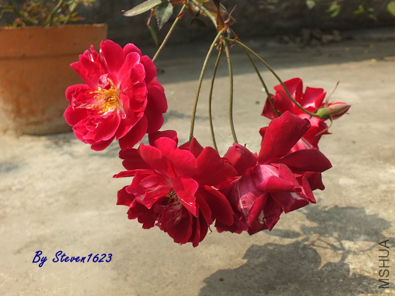 DSCF9561.JPG