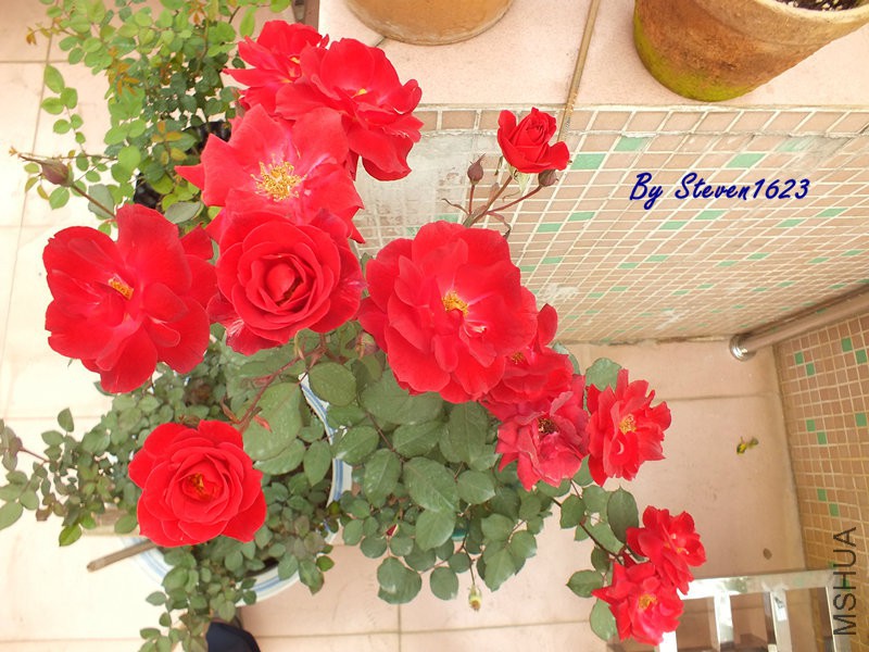 DSCF9547.JPG