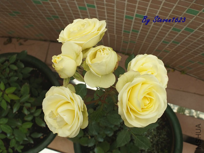 DSCF9579.JPG