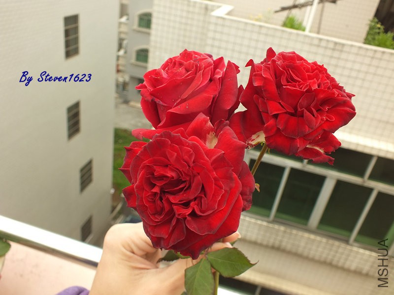DSCF9671.JPG
