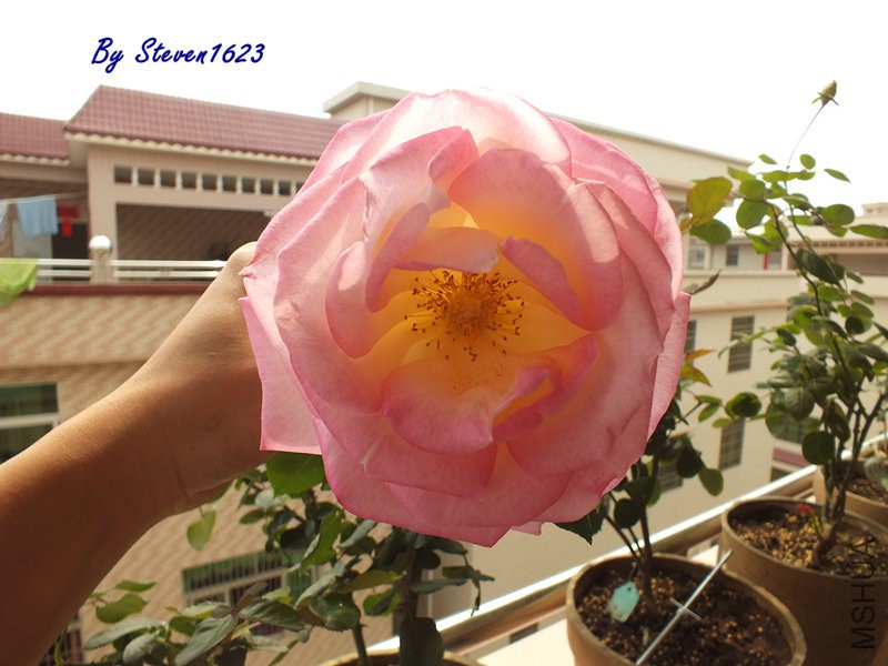 DSCF9552.JPG