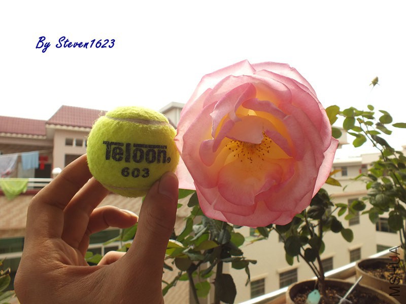 DSCF9554.JPG