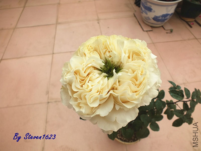 DSCF9634.JPG
