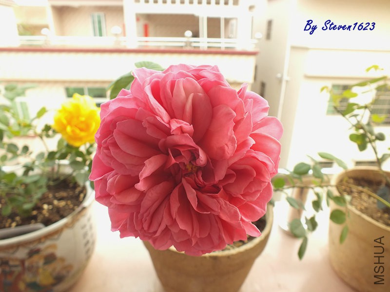 DSCF9679.JPG