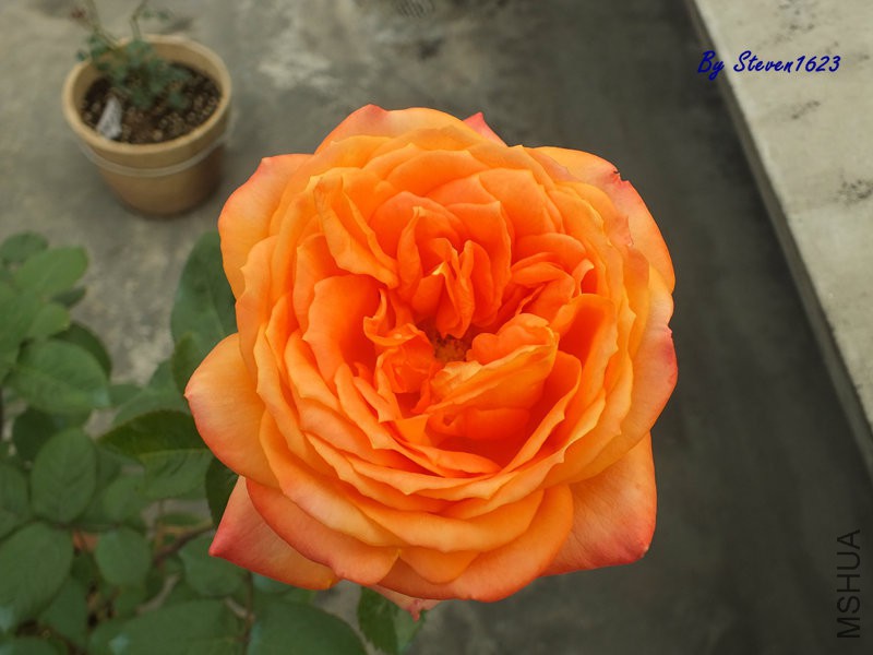 DSCF9692.JPG