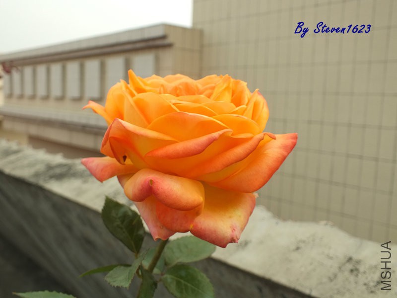 DSCF9693.JPG