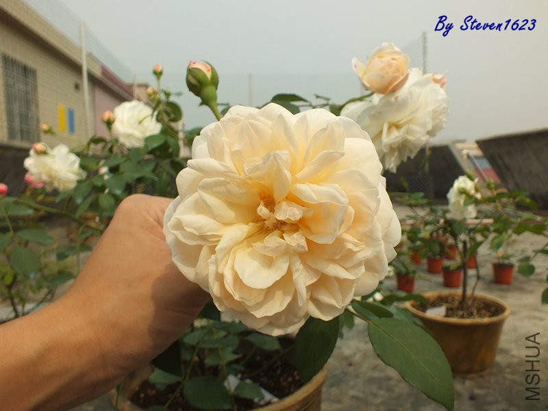 DSCF9755.JPG
