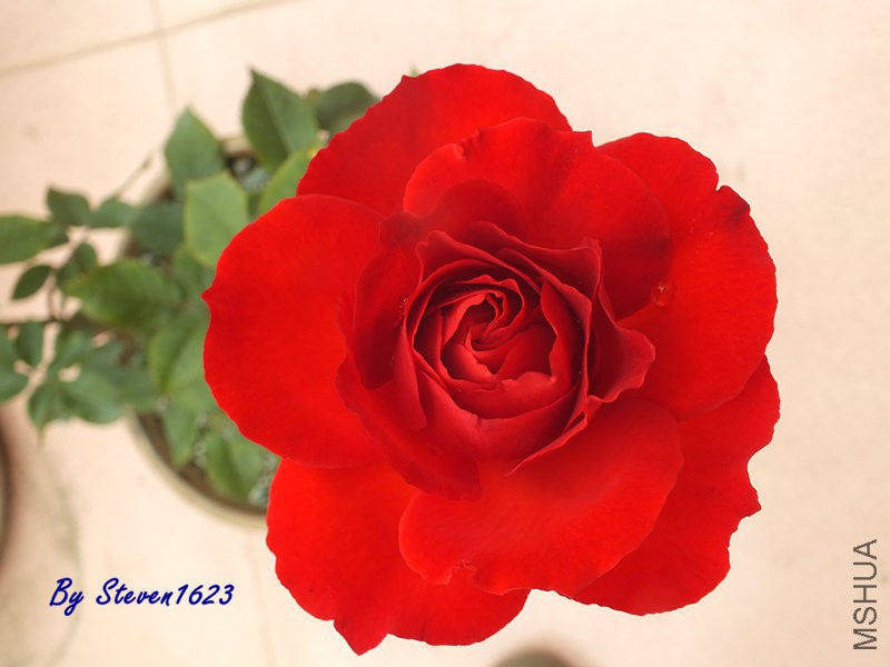 DSCF9610.JPG