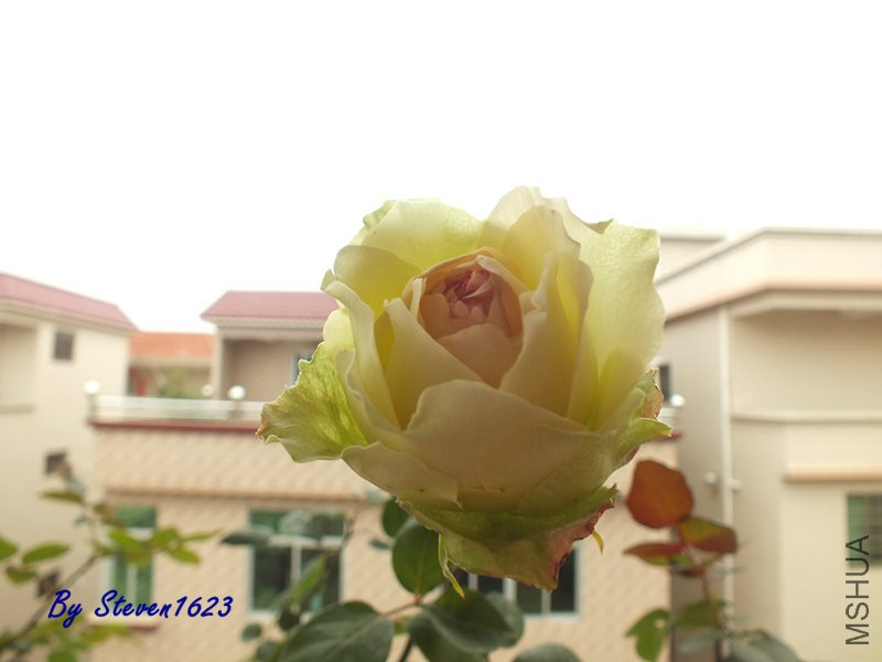 DSCF9652.JPG