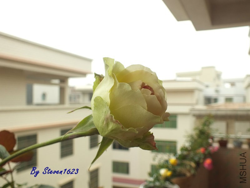 DSCF9655.JPG