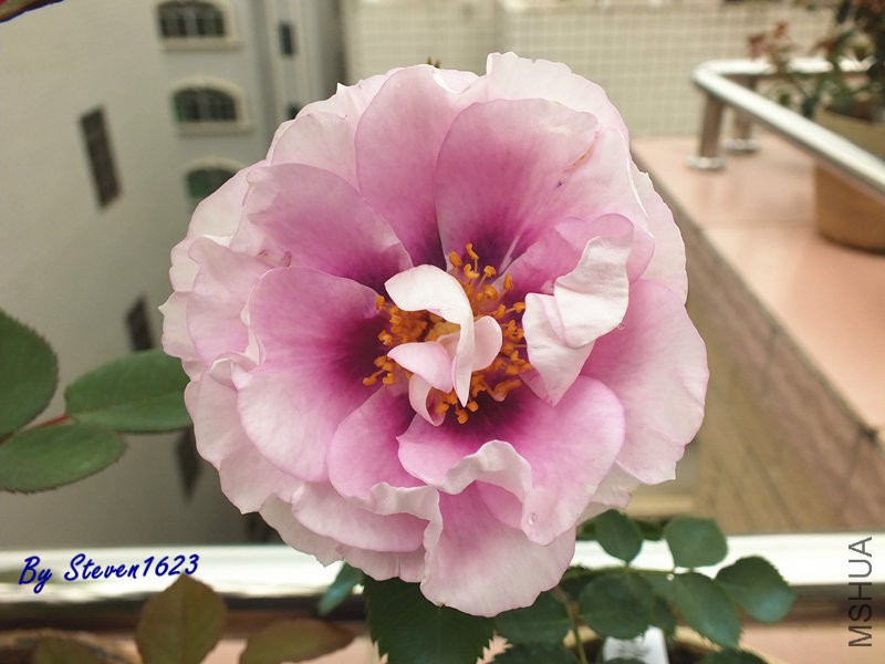 DSCF9717.JPG