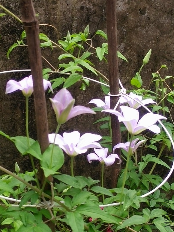 IMG20160402123339.jpg