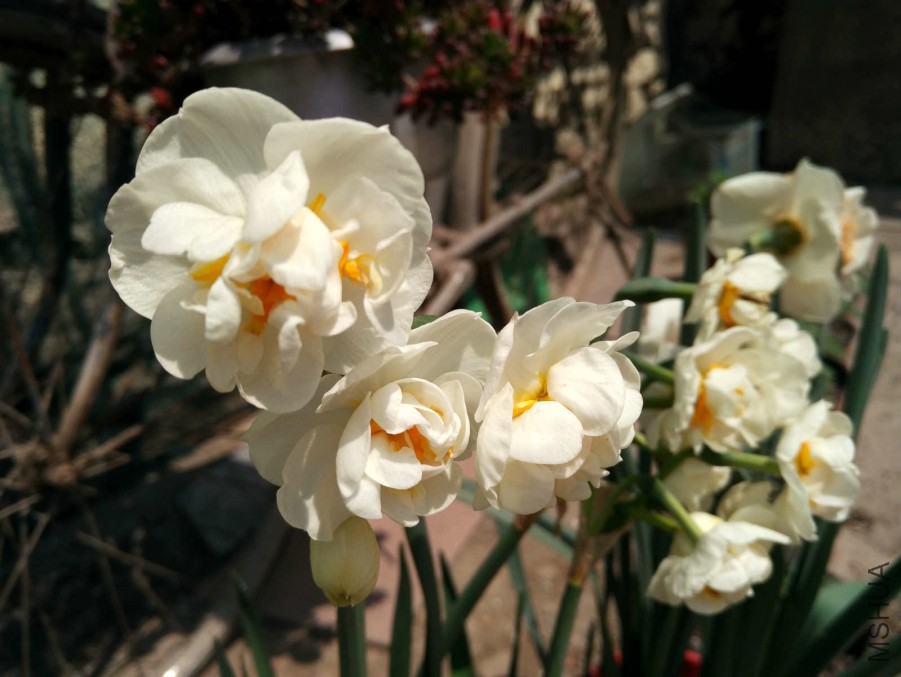 IMG_20160328_122054_HDR_meitu_10.jpg