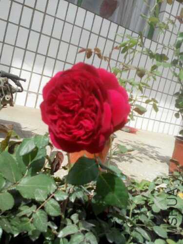 UC_Photo_006.jpg