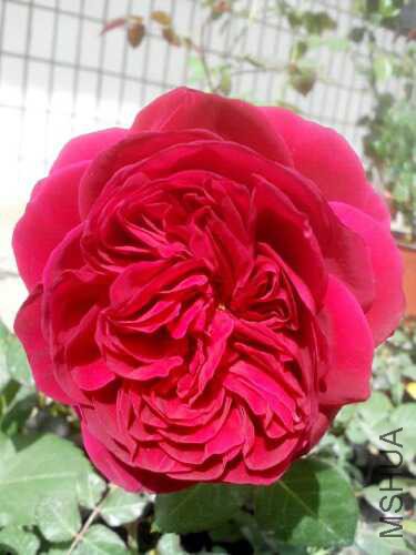 UC_Photo_007.jpg