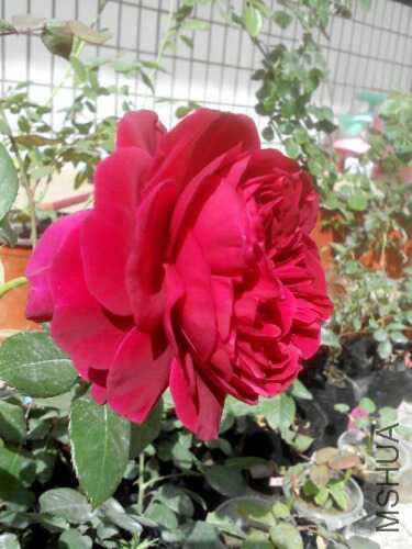 UC_Photo_008.jpg