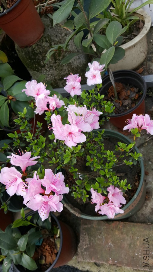 20160402_093210.jpg