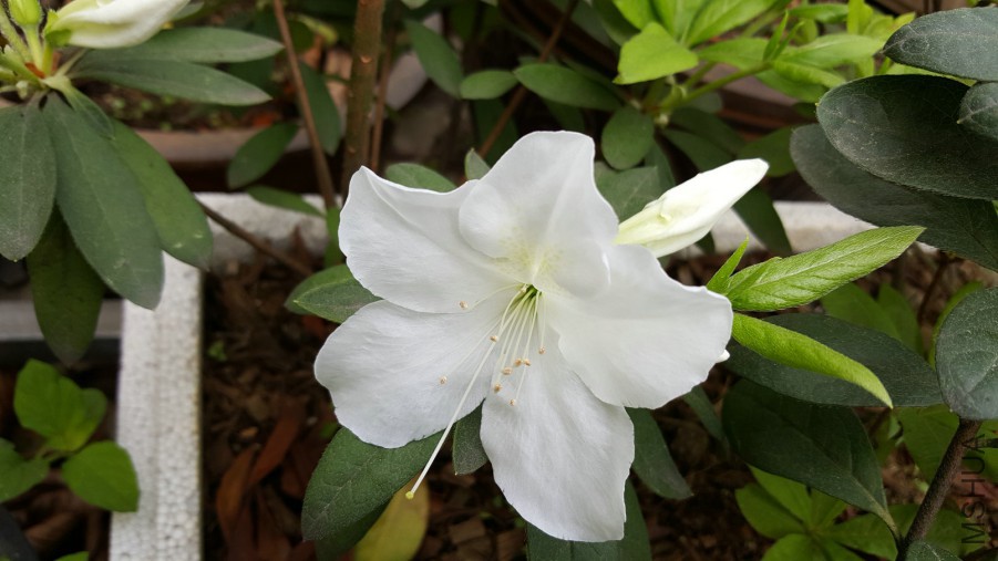 20160402_093955.jpg