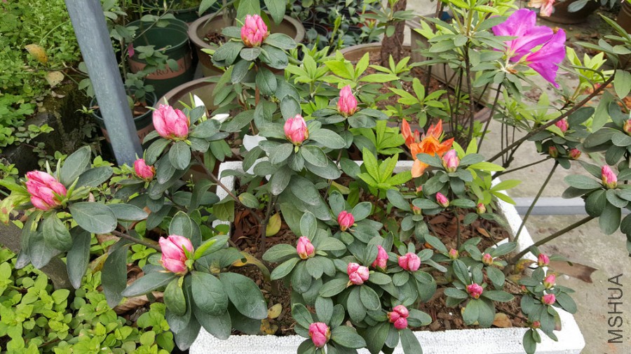 20160402_094014.jpg