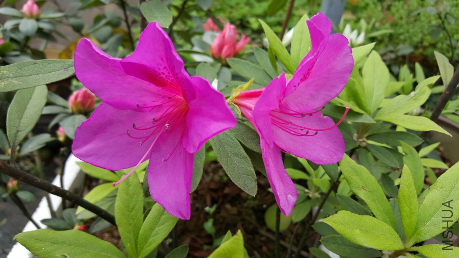 20160402_094026.jpg