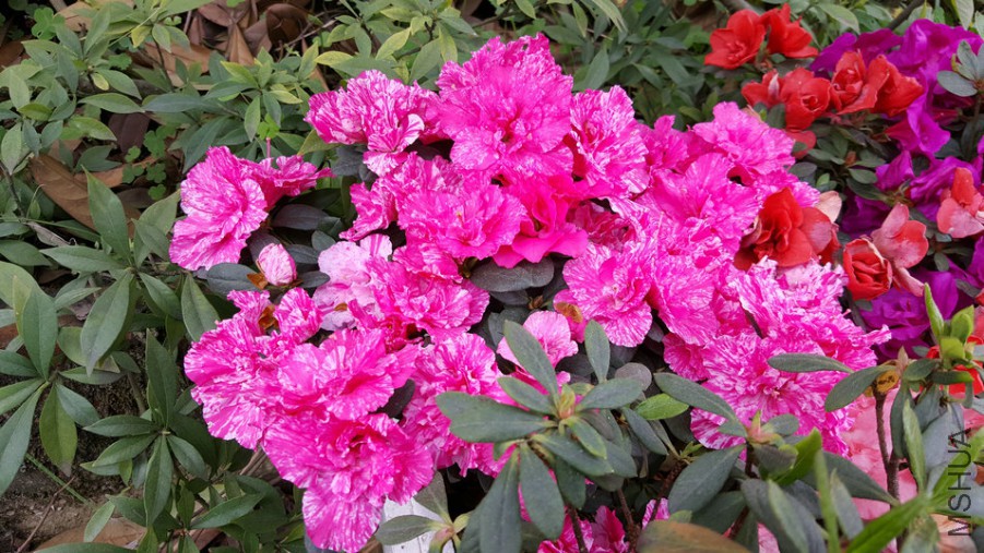 20160402_094322.jpg