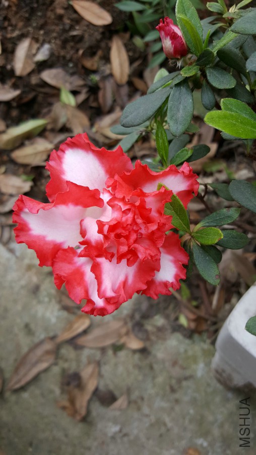 20160402_094529.jpg