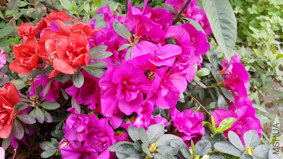 20160402_094614.jpg