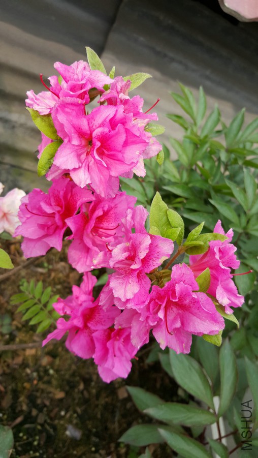 20160402_095156.jpg