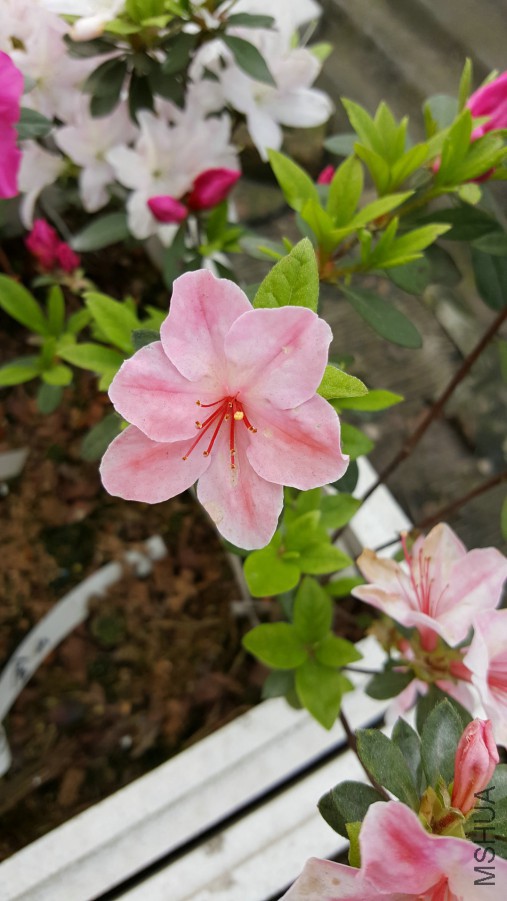 20160402_095215.jpg