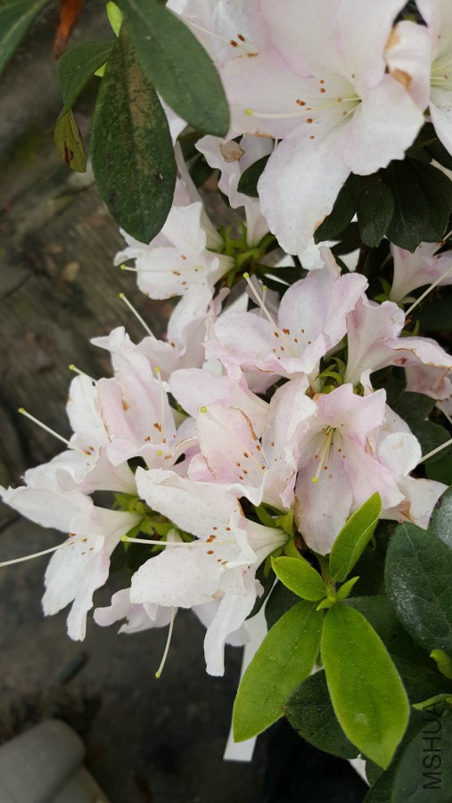 20160402_095240.jpg