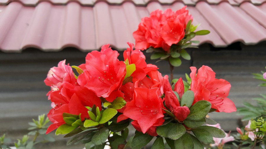 20160402_095307.jpg