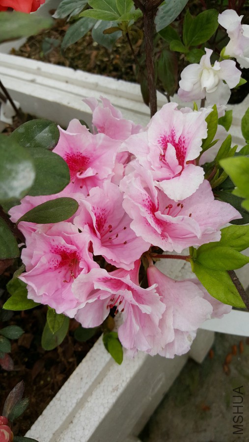 20160402_095343.jpg