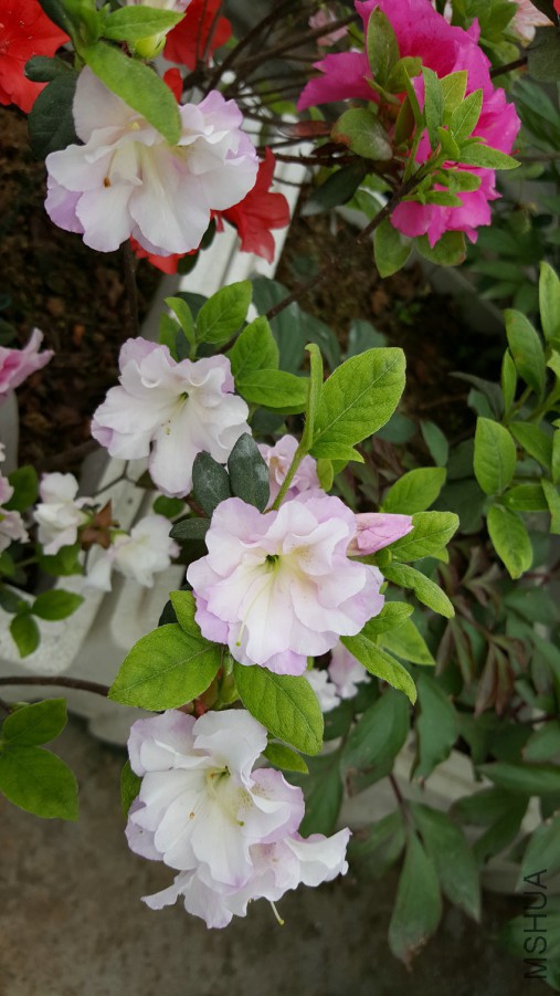 20160402_095353.jpg
