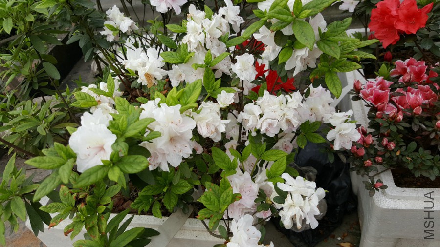 20160402_095410.jpg