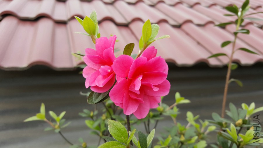 20160402_095418.jpg