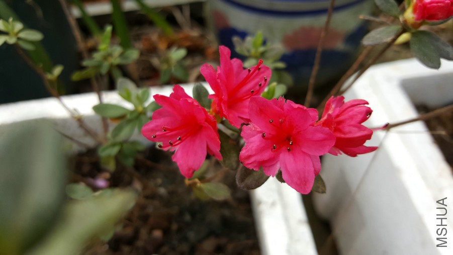 20160402_110304.jpg