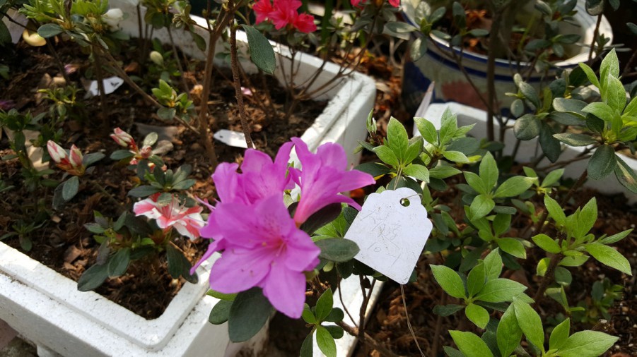 20160402_110514.jpg