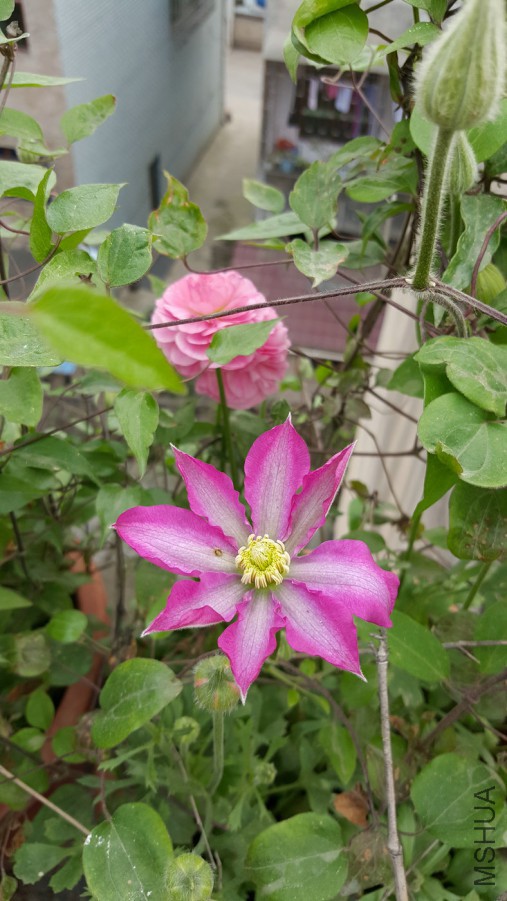 20160402_100057.jpg